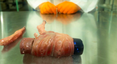 Een scène uit Floris Kaayks 'The Modular Body', waarin er wordt gedaan alsof ze met biotechnologie menselijk leven kunnen creëren.