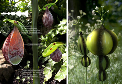 Speculatief ontwerp van David Benqué met futuristische planten die geluid maken, in een tuin, waarin technologie en natuur samenkomen om de toekomst van planten te verkennen.