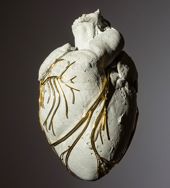 Waar biologie en kunst samenkomen: een orgaan, in dit geval een varkenshart is versierd met gouden aders en gecoat in een witte substantie.
