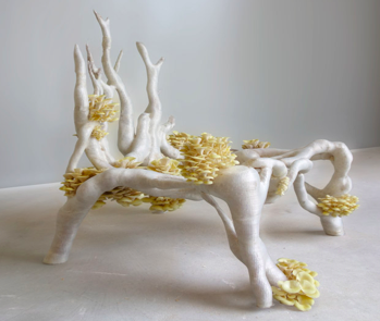 Een organisch ontwerp van Erik Klarenbeek, gemaakt met mycelium - een alternatief voor plastic - door middel van 3D-printen, waarin natuurlijke en duurzame materialen worden gebruikt.