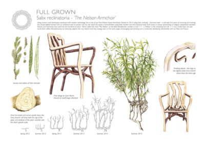 Schematische weergave van hoe Gavin Munro planten laat groeien en uitgroeien tot meubels.