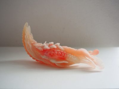 Een van de organen die uit de 3D-printer komt en gebruikt wordt in Chinese Geneeskunde. Dit orgaan is zalmkleurig en heeft schubben.