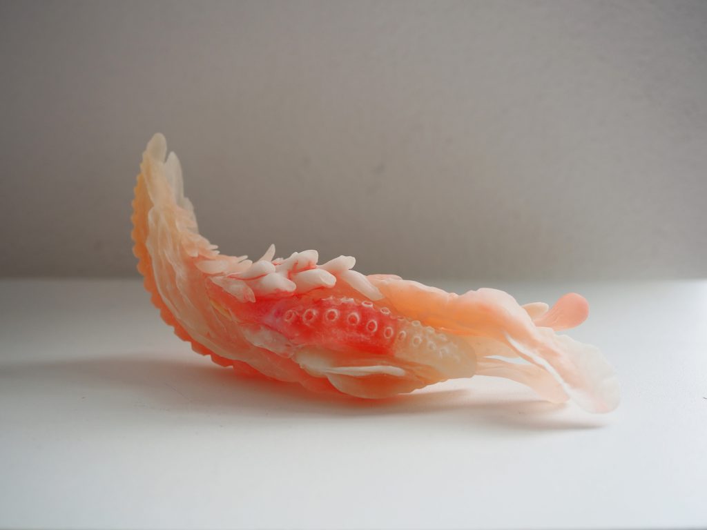 Een van de organen die uit de 3D-printer komt en gebruikt wordt in Chinese Geneeskunde. Dit orgaan is zalmkleurig en heeft schubben.